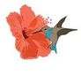 THE HUMMINGBIRD